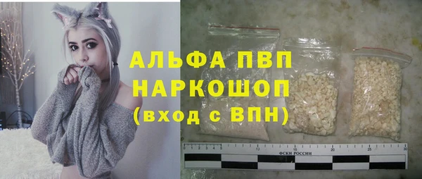 шишки Горно-Алтайск