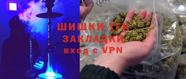 ешки Гусев