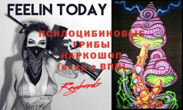 шишки Горно-Алтайск