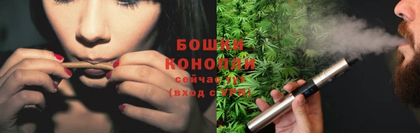 шишки Горно-Алтайск