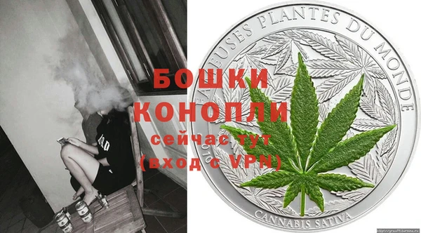 шишки Горно-Алтайск
