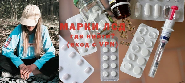 шишки Горно-Алтайск