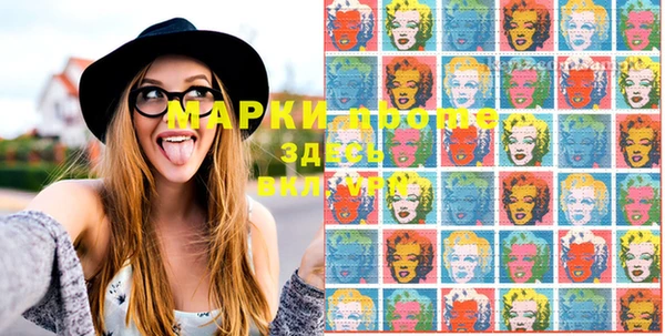 шишки Горно-Алтайск