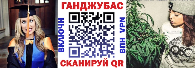 Купить закладки  Кировград  Бошки марихуана тримм 